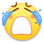 表情12